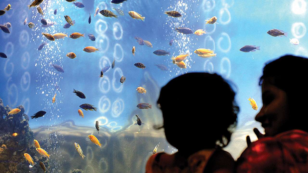 Taraporewala Aquarium