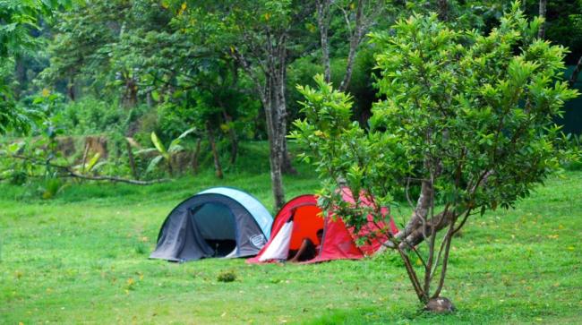 The Civet Creek Camp