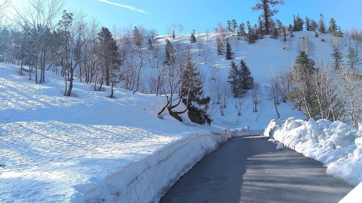 Gulaba - Manali - Connecting Traveller