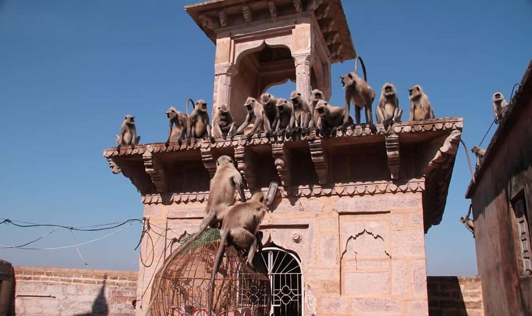 Ramtek fort temple