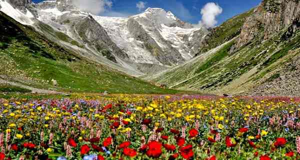 Nanda Devi National Park