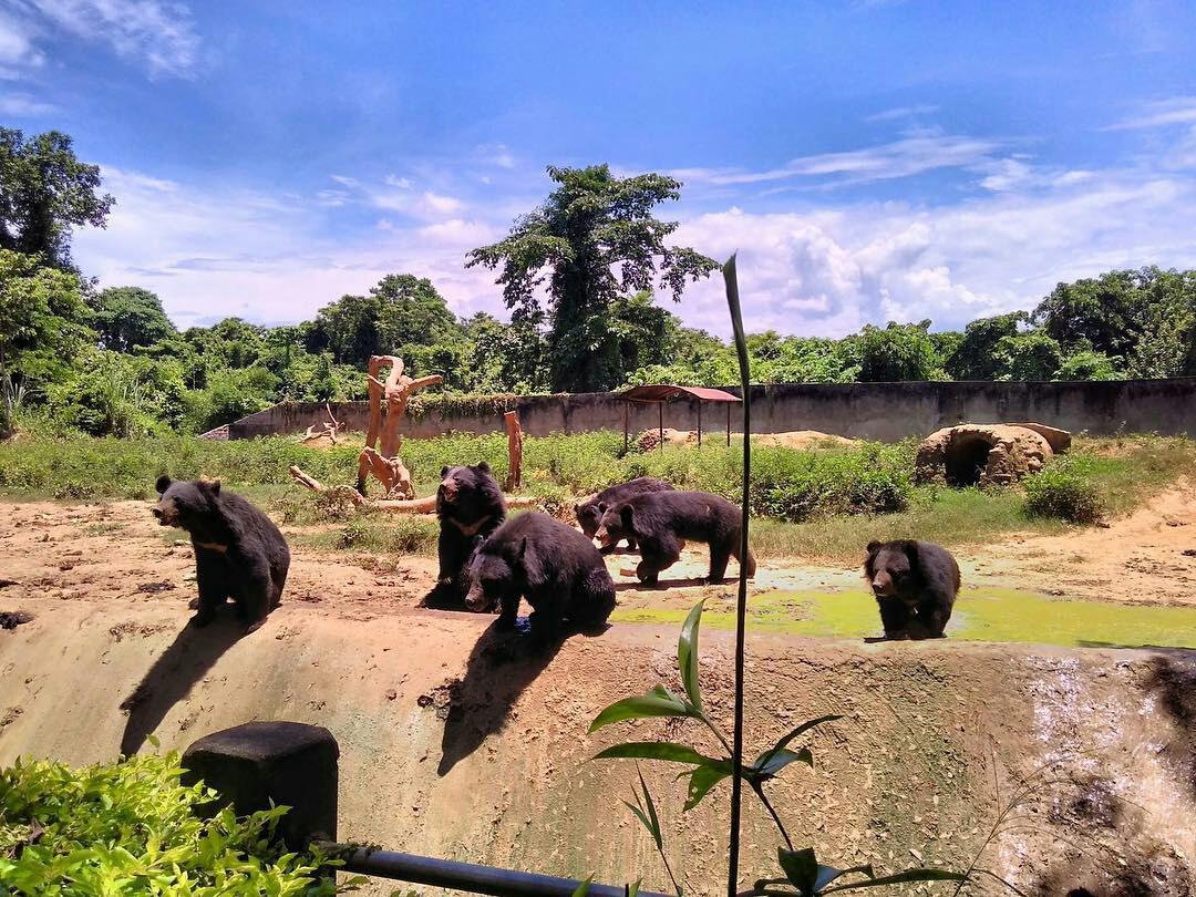 kohima zoo nagaland connecting traveller
