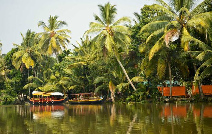 Cruising in Kozhikode Backwater