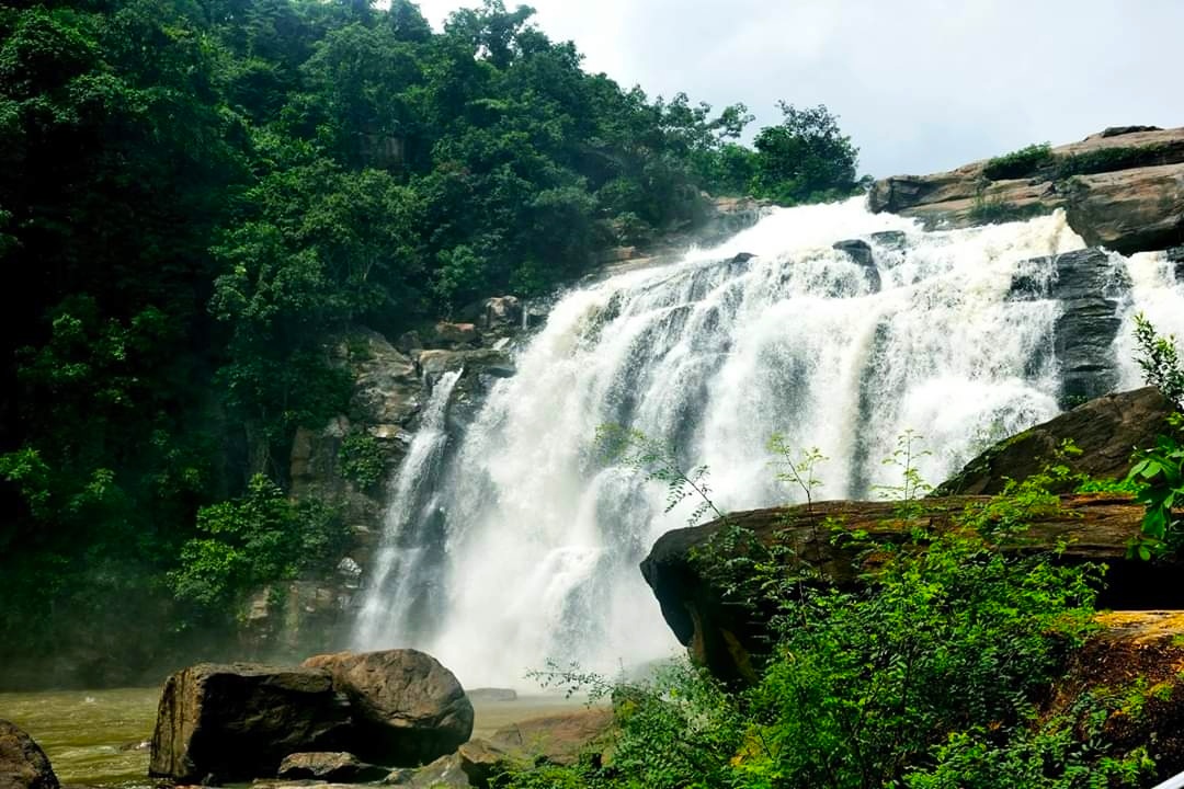 essay on jonha falls