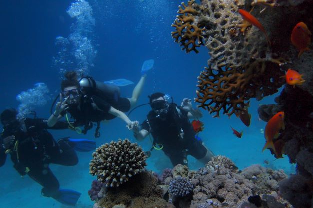 Diving in Banana Reef