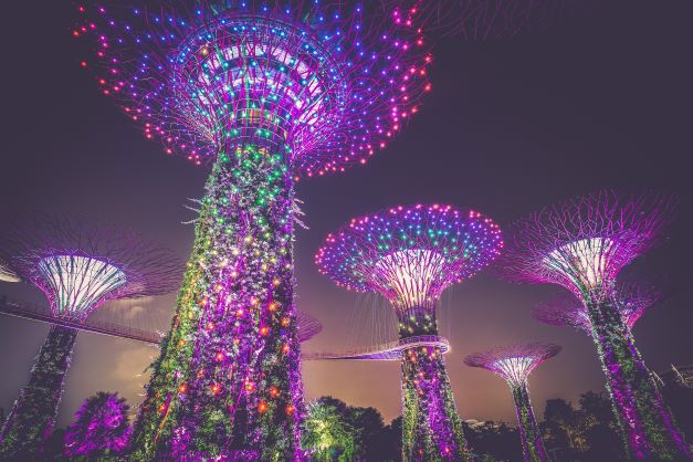 Garden by the Bay