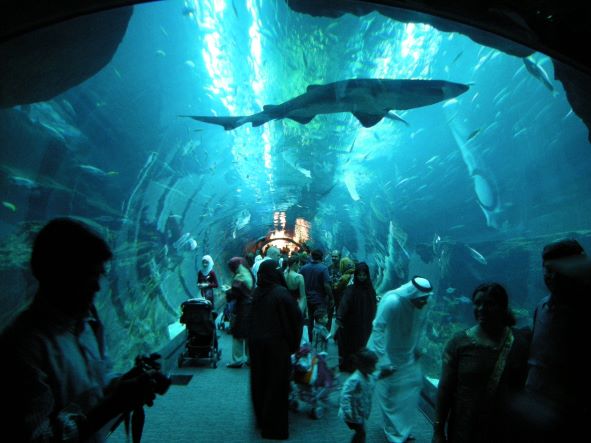 Dubai Aquarium & Underwater Zoo