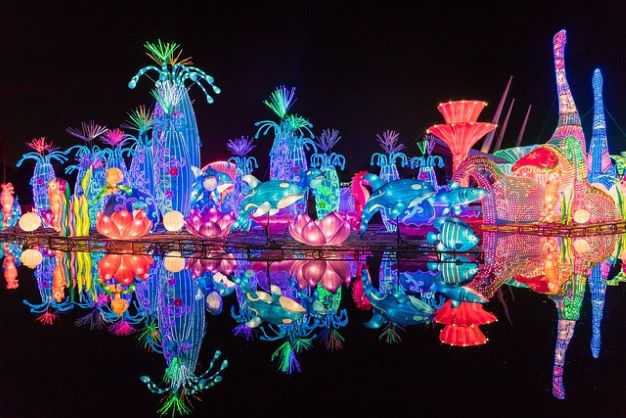 Dubai Garden Glow