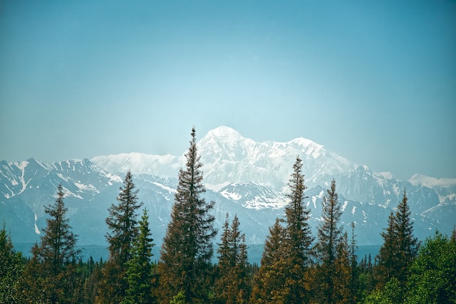 Denali National Park and Preserve