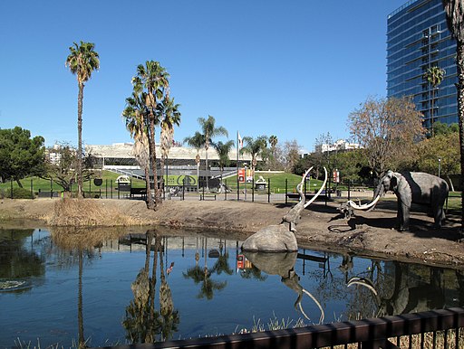 La Brea Tar Pits and Museum