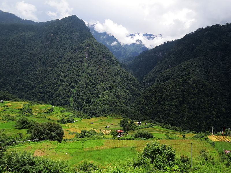 Jigme Dorji National Park