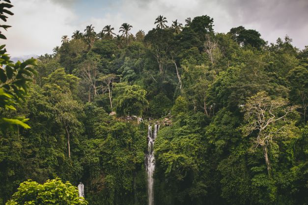 Trekking in Sekumpul Waterfalls.