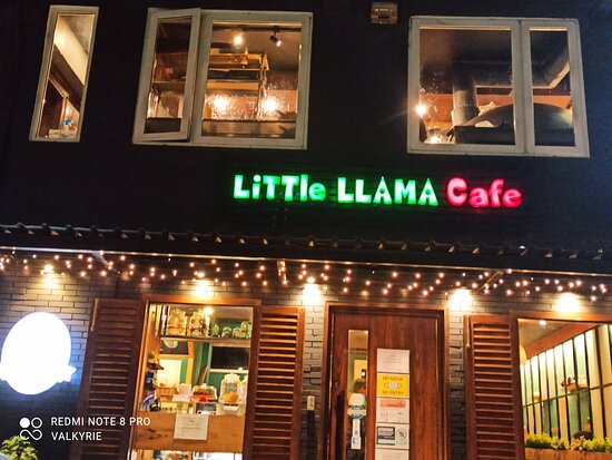 Little Llama Cafe