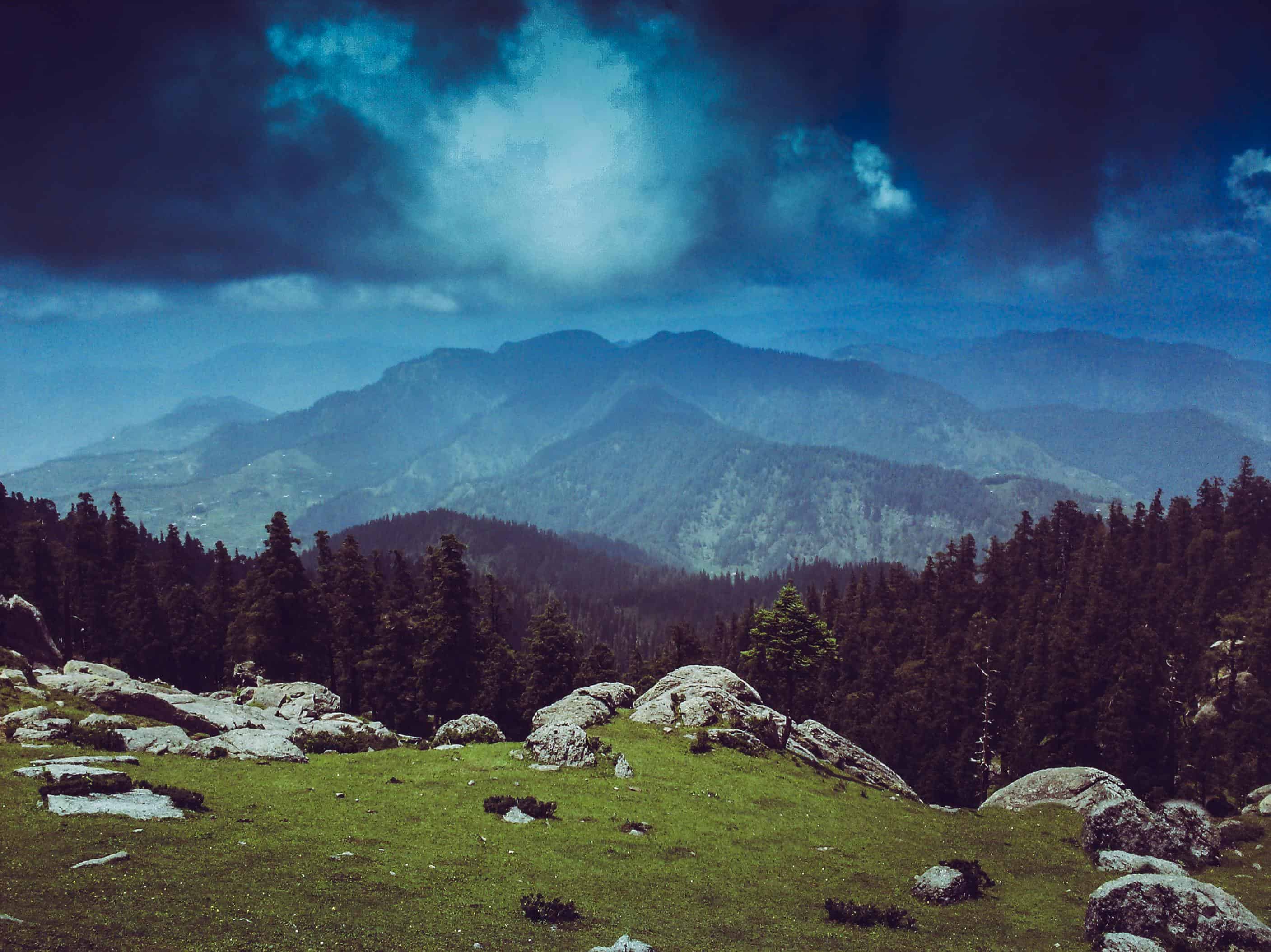 Experience a luxury stay by being close to nature